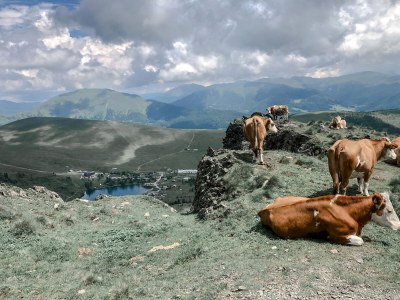 Holiday house Marmot Lodge - Environment photo 37
