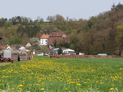 Holiday apartment Hahner 1 - Environment photo 21