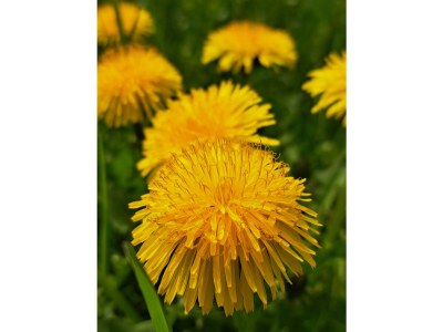 Holiday apartment Hahner 1 - Environment photo 22