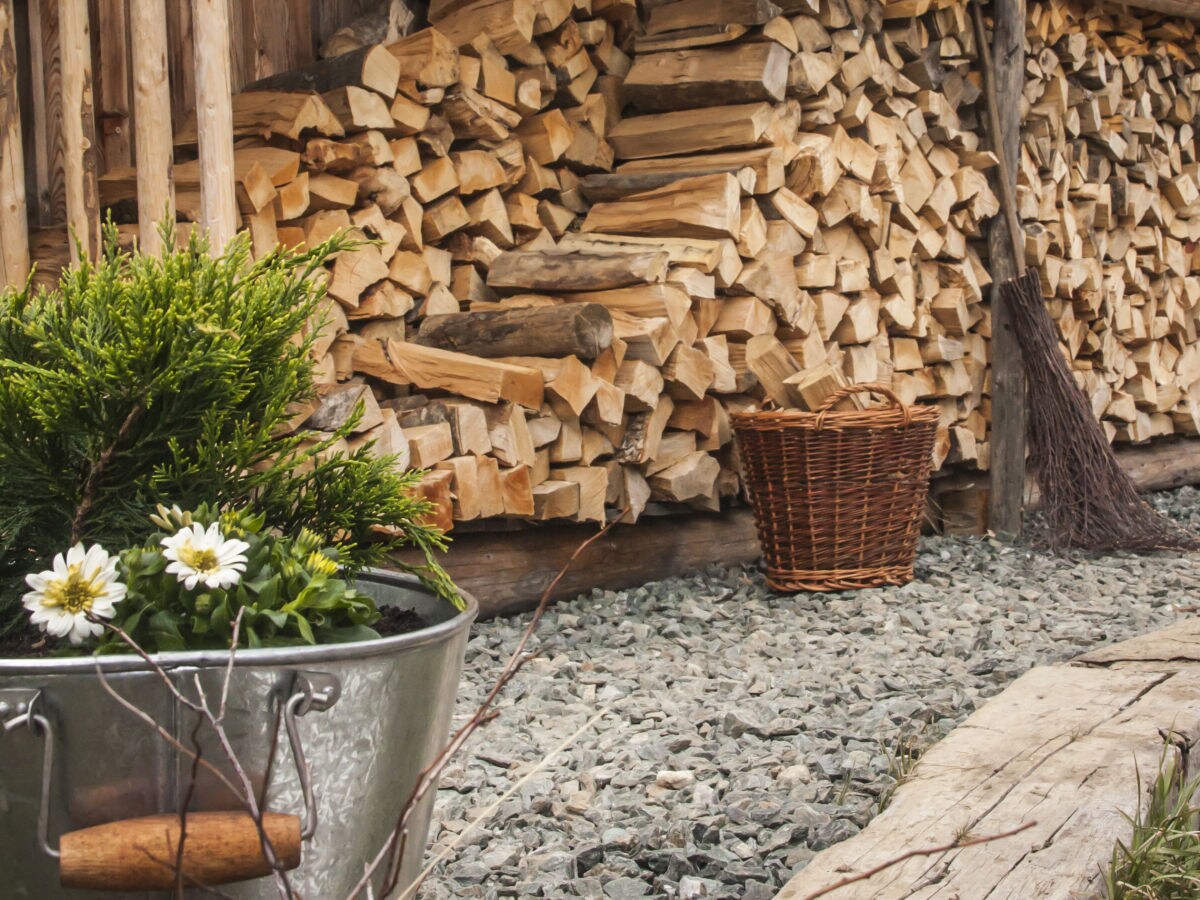 Holiday house SteinbockhÃ¼tte - Outdoor photo 4