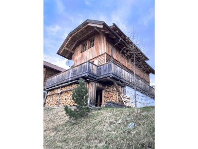 Holiday house SteinbockhÃ¼tte - Outdoor photo 5