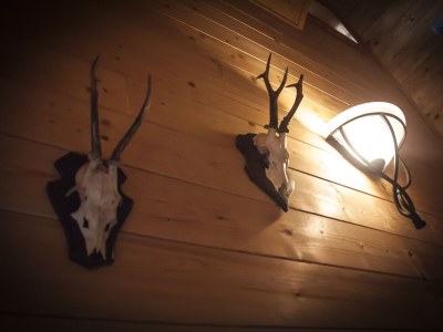 Holiday house SteinbockhÃ¼tte - Features photo 25