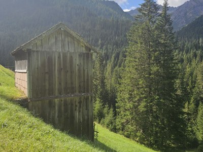 Holiday apartment Komfortable Ferienwohnung, ruhig, Bergblick - Outdoor photo 27