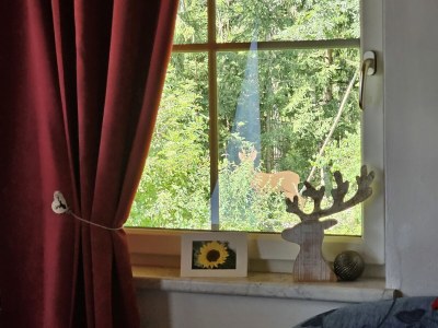 Holiday apartment Komfortable Ferienwohnung, ruhig, Bergblick - Features photo 40