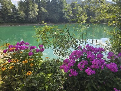 Holiday apartment Komfortable Ferienwohnung, ruhig, Bergblick - Environment photo 51