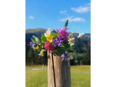 Holiday apartment Komfort Wohnung Berta, neu, Blick auf die Berge, Terrasse, ruhig - Document photo 53