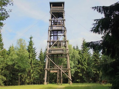 Holiday house Daxweiler - Environment photo 17