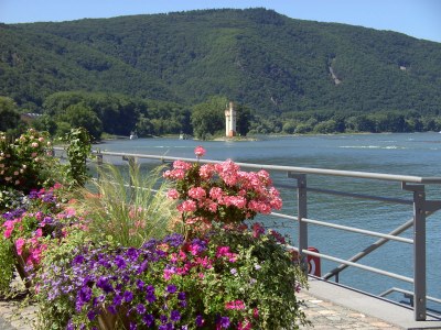 Holiday house Daxweiler - Environment photo 18