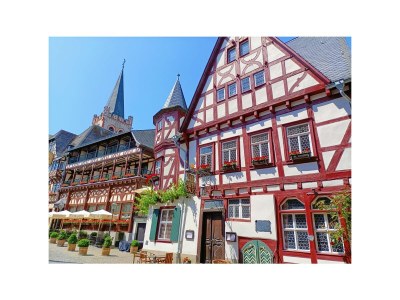 Holiday house Daxweiler - Environment photo 23