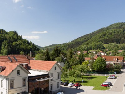 Holiday apartment Dietsche Todtnau - Hasenhornblick - Environment photo 12