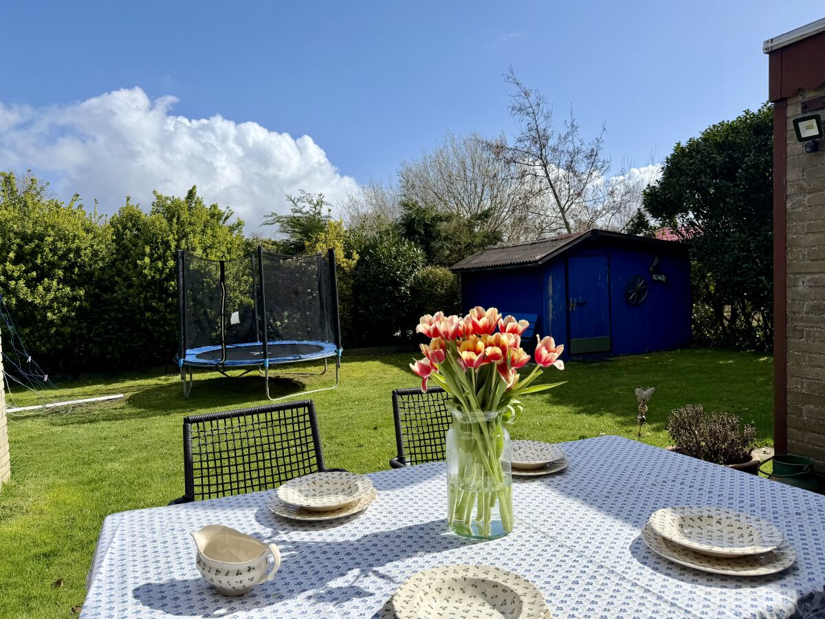 Bungalow De Stormvogel - Outdoor photo 4