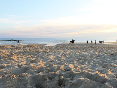 Bungalow De Stormvogel - Environment photo 26