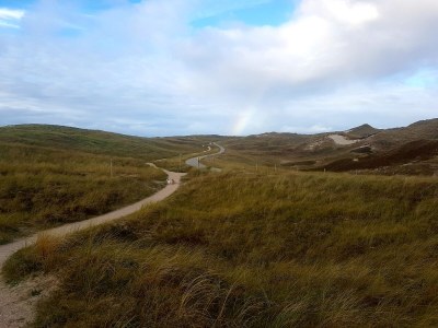 Bungalow De Stormvogel - Environment photo 33