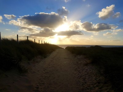 Bungalow De Stormvogel - Environment photo 34