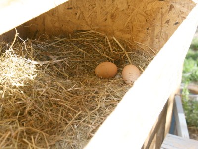 Holiday apartment Tschaggl at Umsinderhof - Environment photo 9