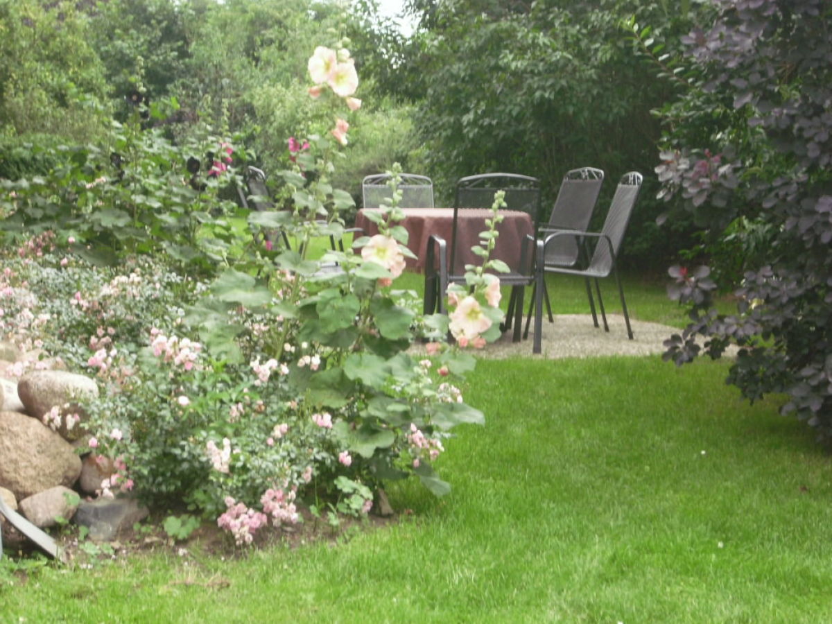 Holiday apartment shore leave "Birkenhof" - Outdoor photo 4