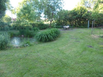 Holiday apartment shore leave "Birkenhof" - Outdoor photo 5