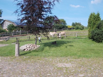 Holiday apartment shore leave "Birkenhof" - Outdoor photo 6