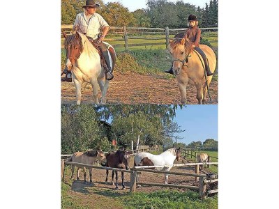 Holiday apartment shore leave "Birkenhof" - Environment photo 17