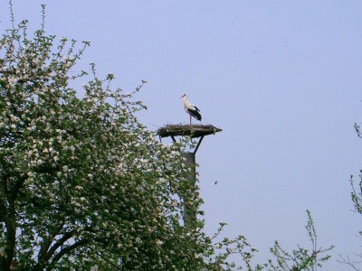 Holiday apartment shore leave "Birkenhof" - Environment photo 21