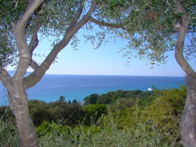 Villa Villa des Plages-Valinco - Outdoor photo 9