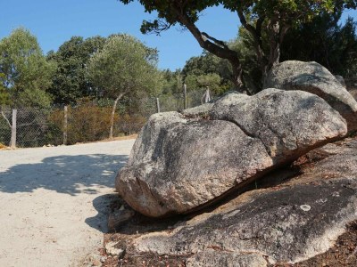 Villa Villa des Plages-Valinco - Outdoor photo 16