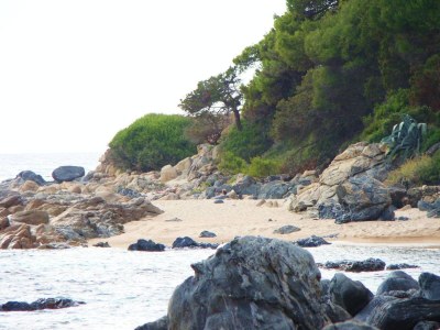 Villa Villa des Plages-Valinco - Environment photo 31