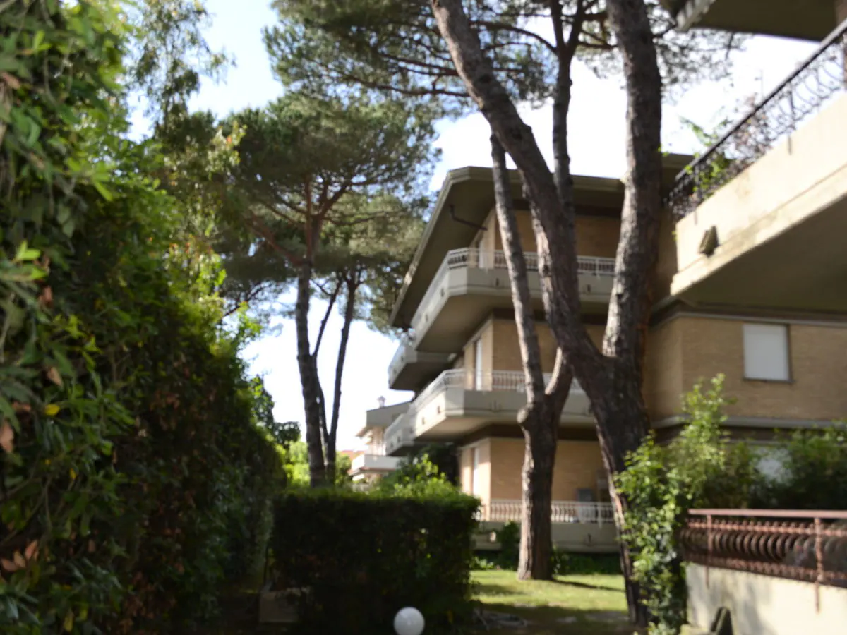 Holiday apartment Marina - Outdoor photo 3