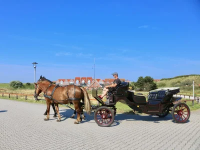 Holiday apartment Deichrausch - Outdoor photo 9