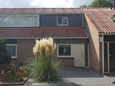 Holiday house Konijnenberg 2 - Outdoor photo 3