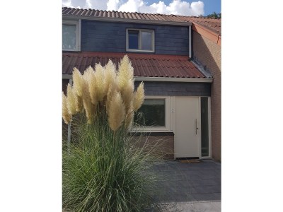 Holiday house Konijnenberg 2 - Outdoor photo 4