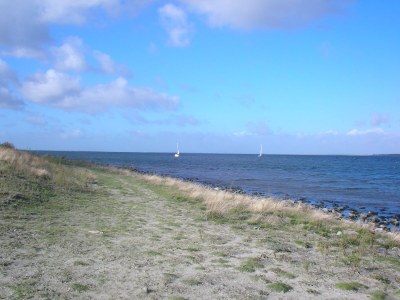 Holiday house Konijnenberg 2 - Environment photo 17