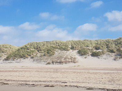 Holiday house Konijnenberg 2 - Document photo 24