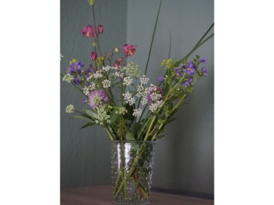 Holiday apartment Reuther - Features photo 10