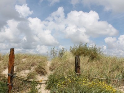 Holiday house Nelles - Environment photo 33