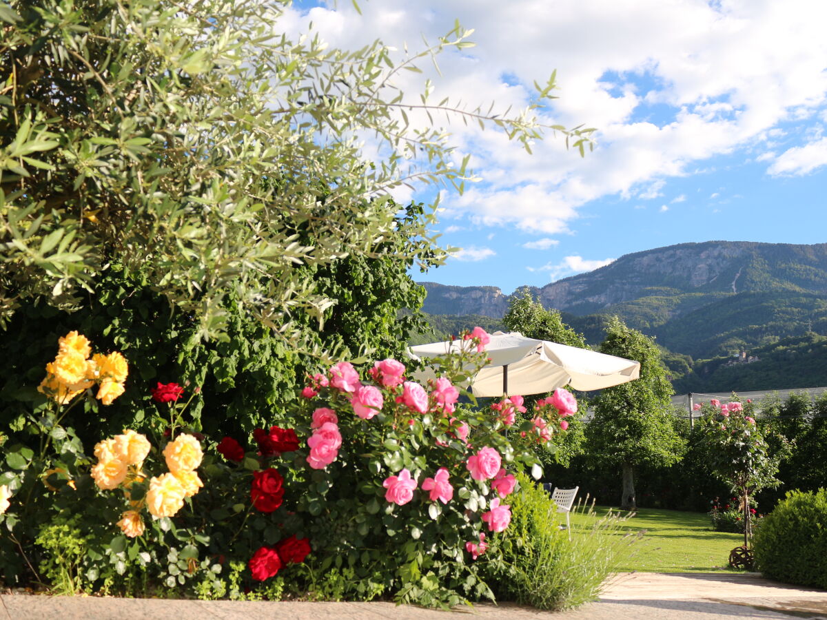 Holiday apartment Theo, RosenResidence Krösshof - Outdoor photo 5