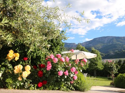 Holiday apartment Theo, RosenResidence Krösshof - Outdoor photo 5