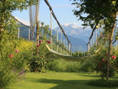 Holiday apartment Theo, RosenResidence Krösshof - Outdoor photo 11