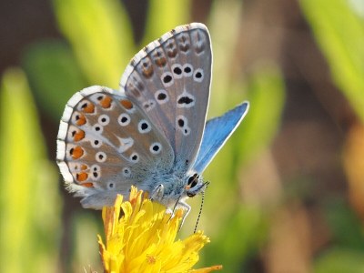 Holiday house Campi di Cascio - Outdoor photo 2