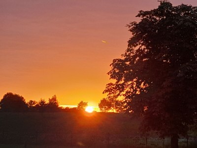 Cottage Borggreve / Sommer - Outdoor photo 7