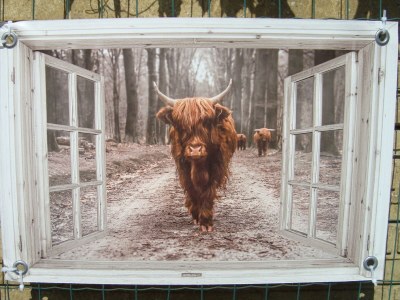 Holiday apartment Ab and Joke van Dam - Outdoor photo 8