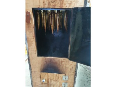 Holiday apartment Ab and Joke van Dam - Environment photo 36