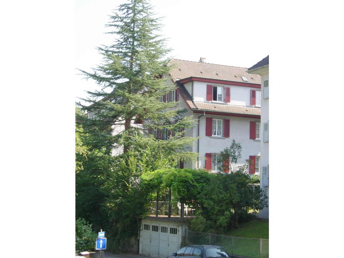 Holiday apartment Lucerne City - Rotsee - Outdoor photo 2