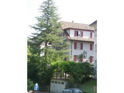 Holiday apartment Lucerne City - Rotsee - Outdoor photo 2