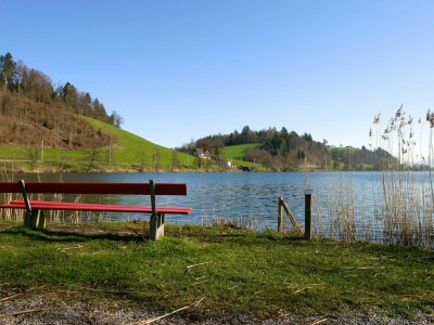 Holiday apartment Lucerne City - Rotsee - Environment photo 7