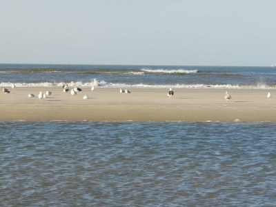 Holiday apartment Haus Nina Wohnung 7 - Environment photo 15