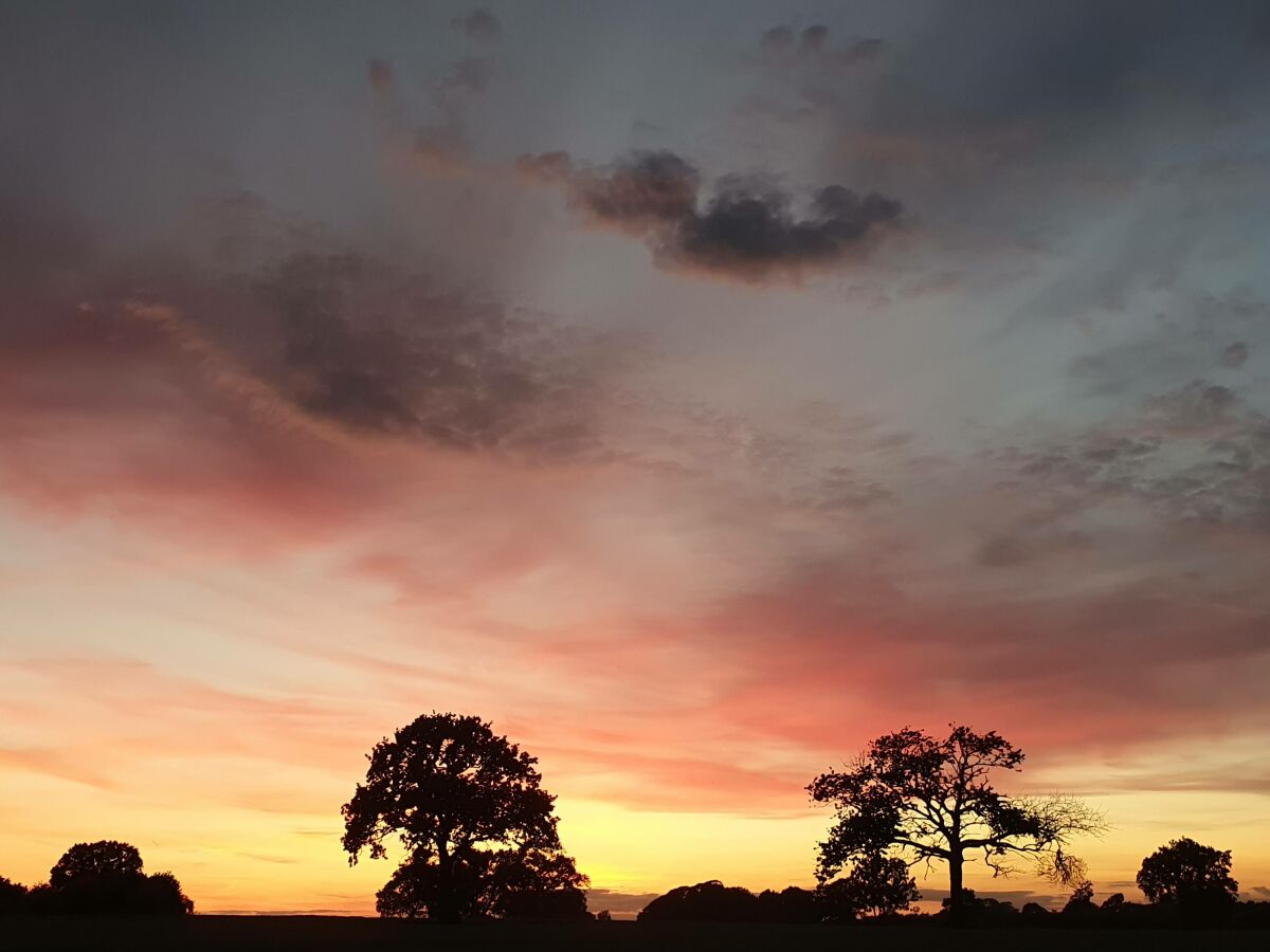 Holiday apartment in the Fischers Hus - Outdoor photo 2