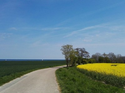 Holiday apartment in the Fischers Hus - Environment photo 31