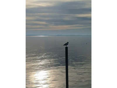 Holiday apartment in the Fischers Hus - Environment photo 34