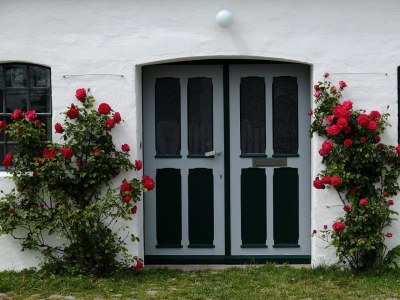 Holiday house Mühle Catharina - Outdoor photo 6